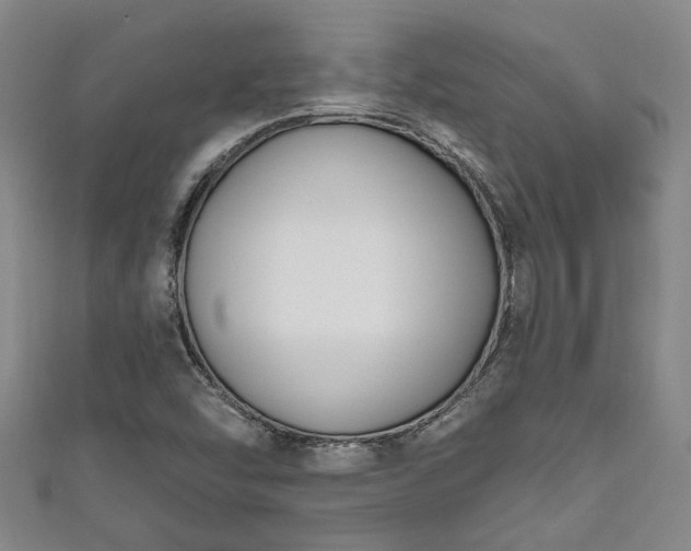 X0000111171454200907081204