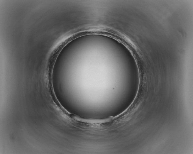 X0000111171456200907081204