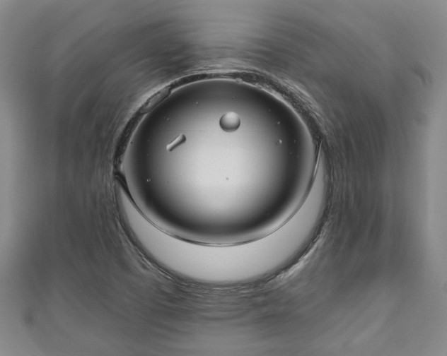 X0000111171457200907081204