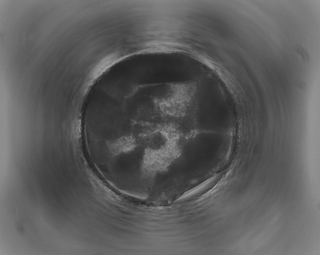 X0000111171459200907081204