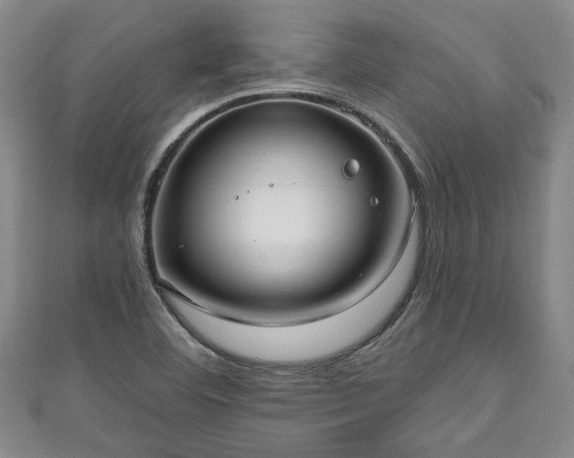 X0000111171460200907081204