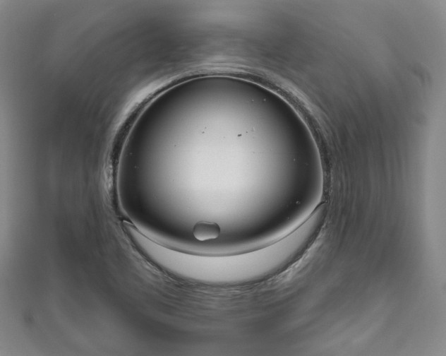 X0000111171461200907081204