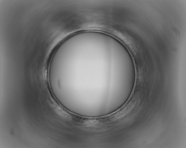 X0000111171462200907081204