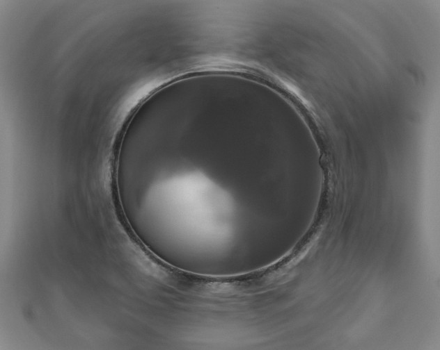 X0000111171463200907081204