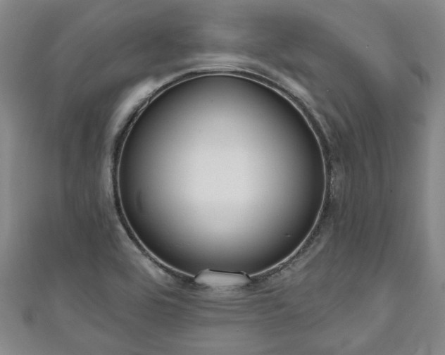 X0000111171464200907081204