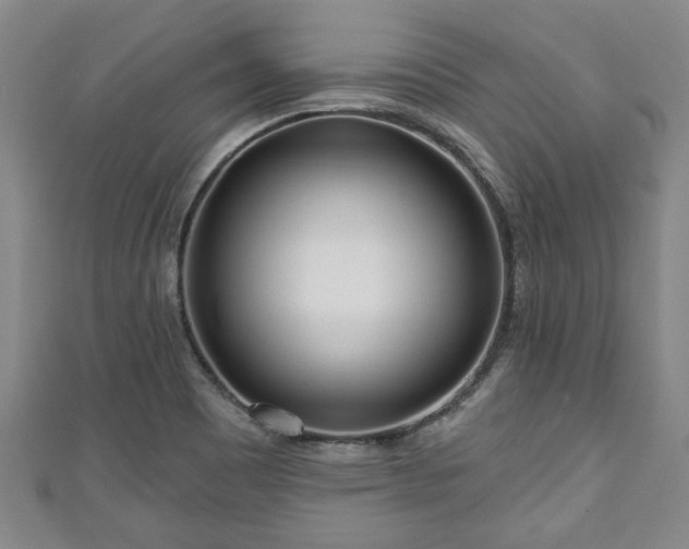 X0000111171465200907081204