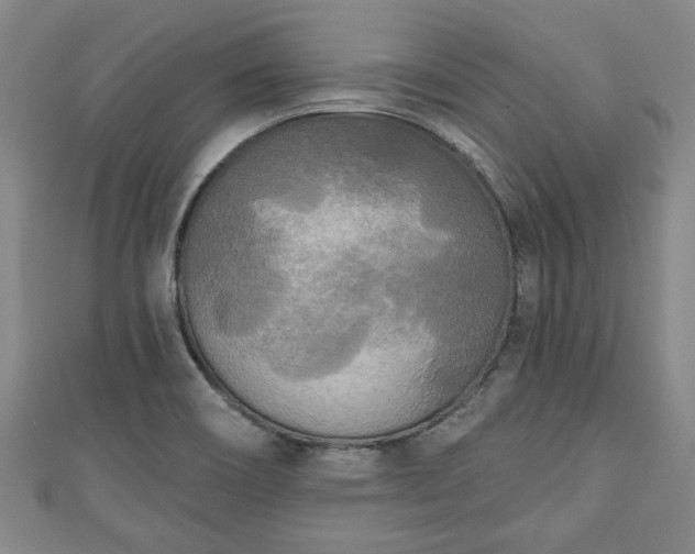 X0000111171466200907081204