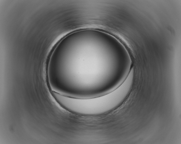 X0000111171468200907081204