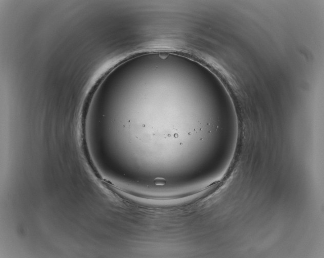 X0000111171469200907081204