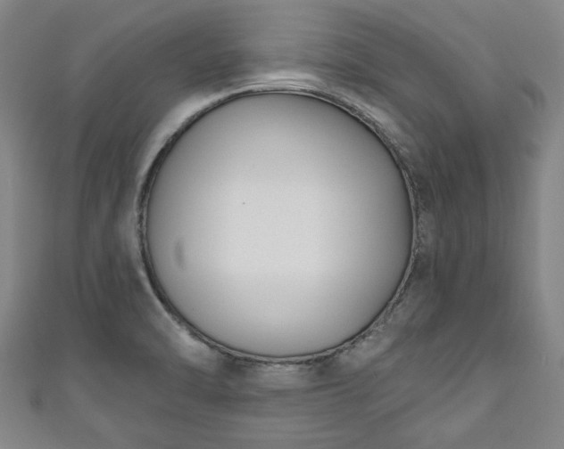 X0000111171470200907081204