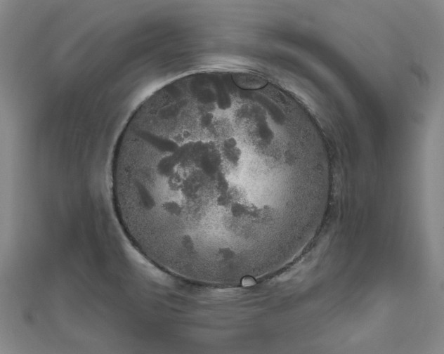 X0000111171471200907081204