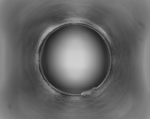 X0000111171472200907081204