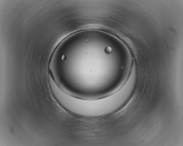 X0000111171473200907081204