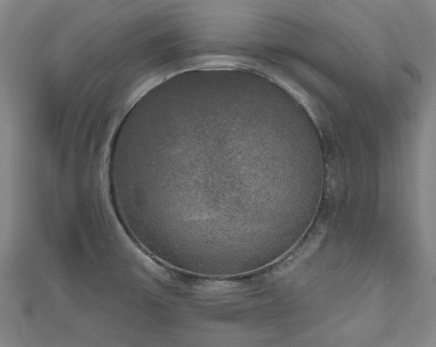 X0000111171475200907081204