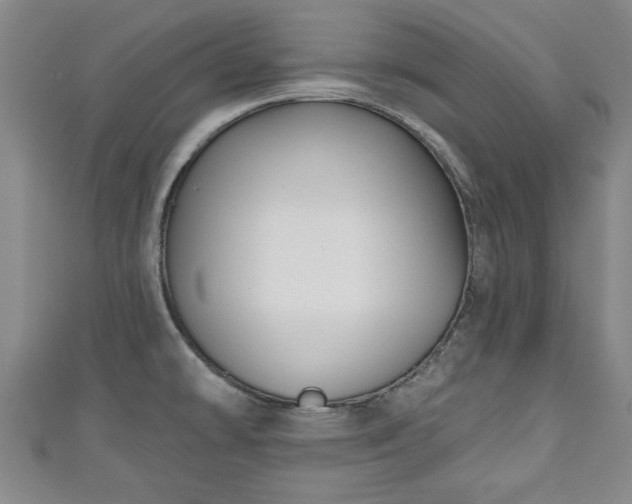 X0000111171478200907081204