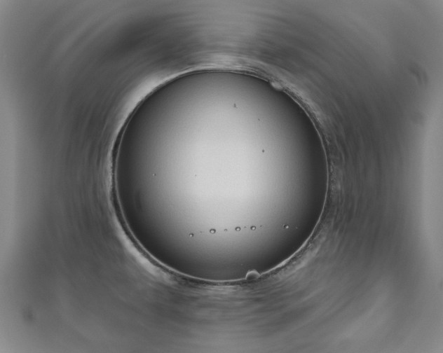 X0000111171479200907081204