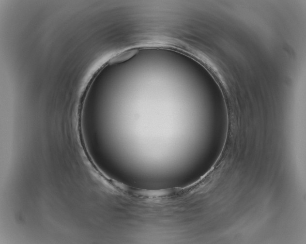 X0000111171480200907081204