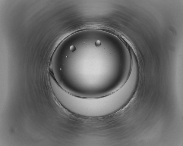 X0000111171481200907081204