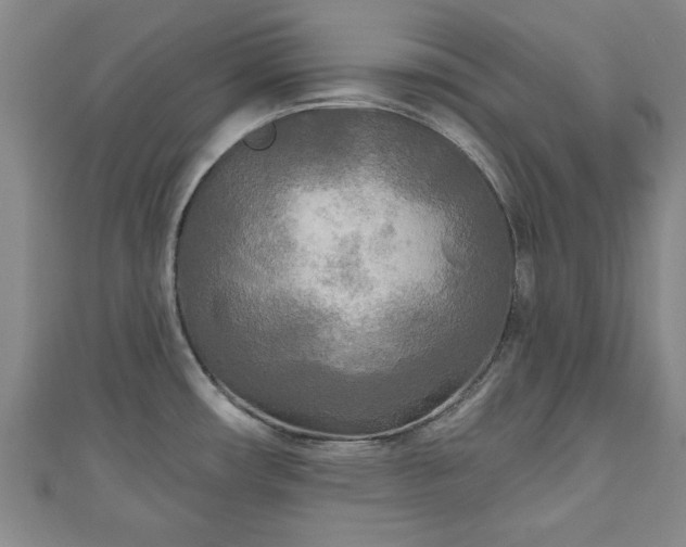 X0000111171482200907081204