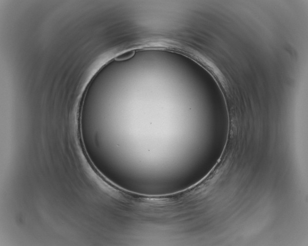 X0000111171483200907081204