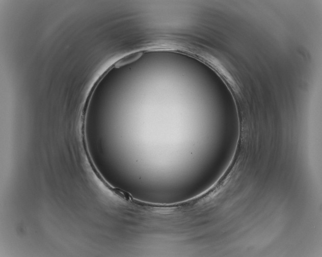 X0000111171484200907081204