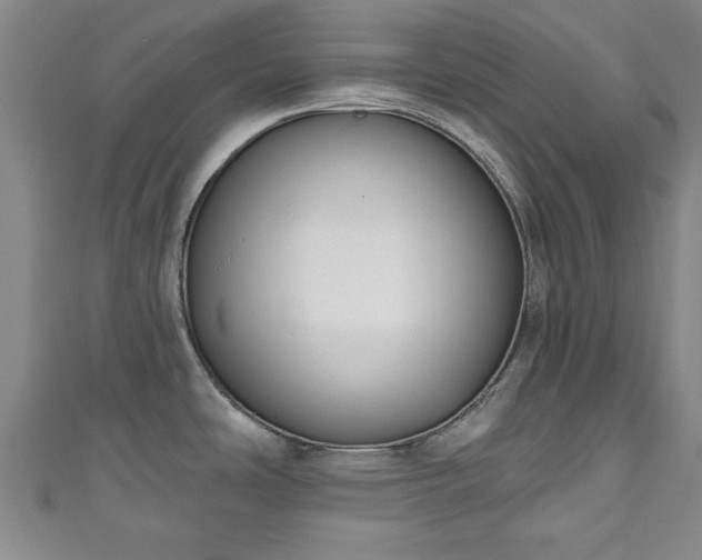 X0000111171486200907081204