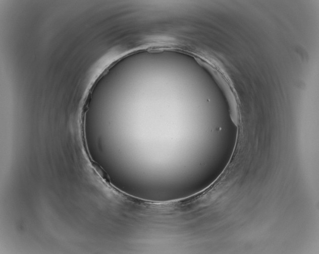 X0000111171488200907081204