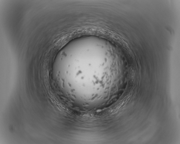 X0000111171489200907081203