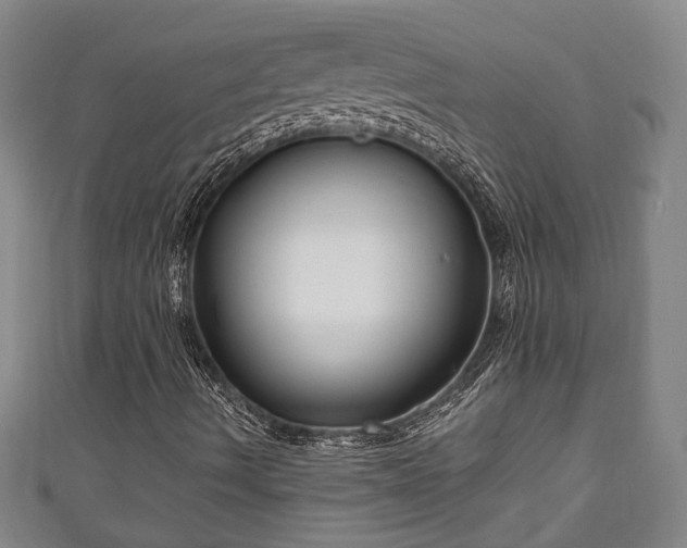 X0000111171490200907081203