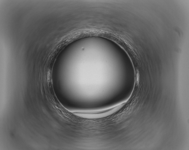 X0000111171492200907081203