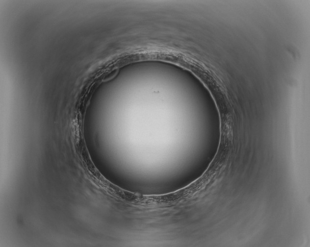 X0000111171493200907081203