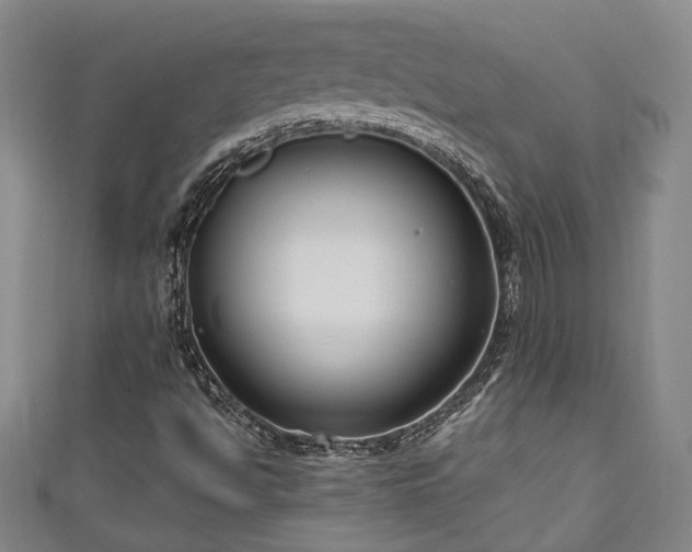 X0000111171494200907081203