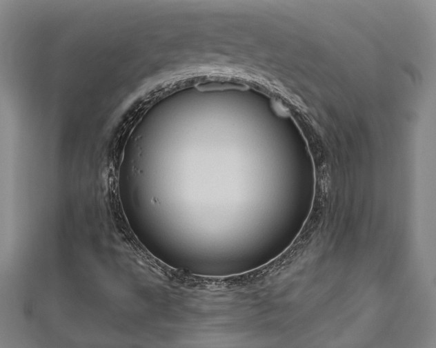 X0000111171495200907081204