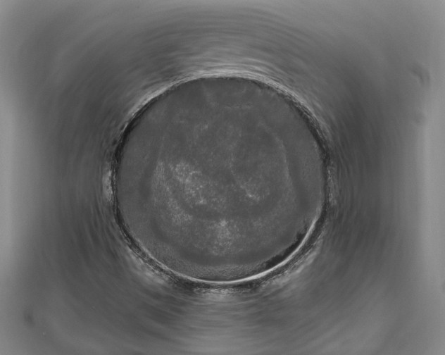 X0000111171497200907081204