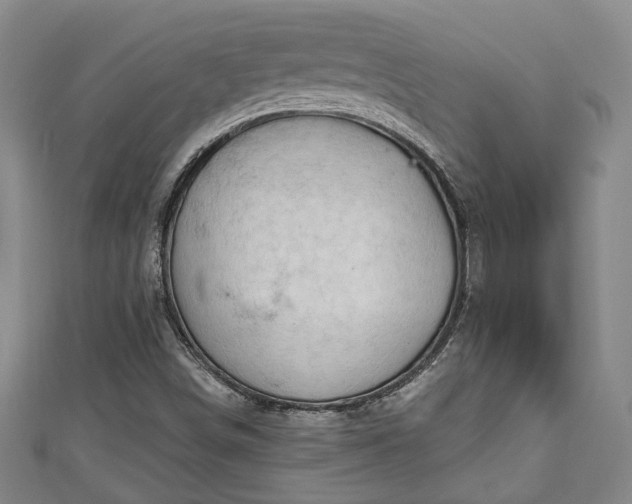 X0000111171498200907081204