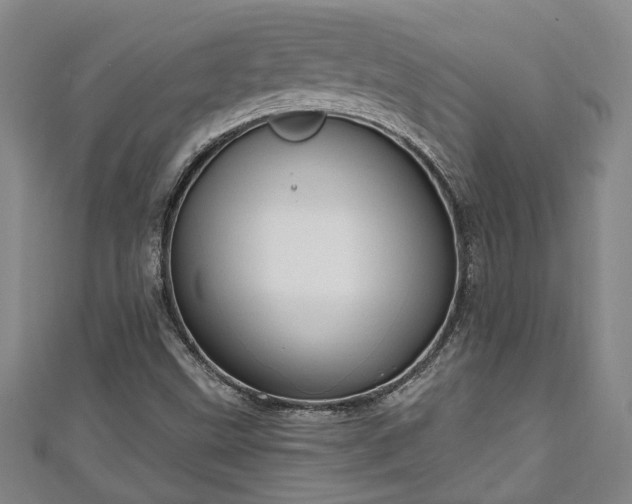 X0000111171499200907081204