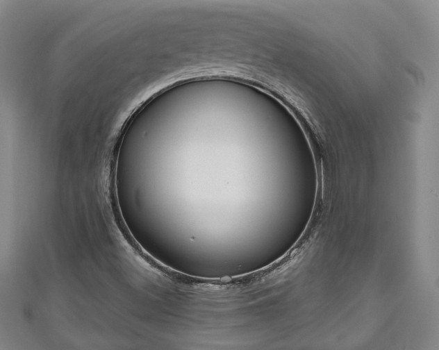 X0000111171500200907081204