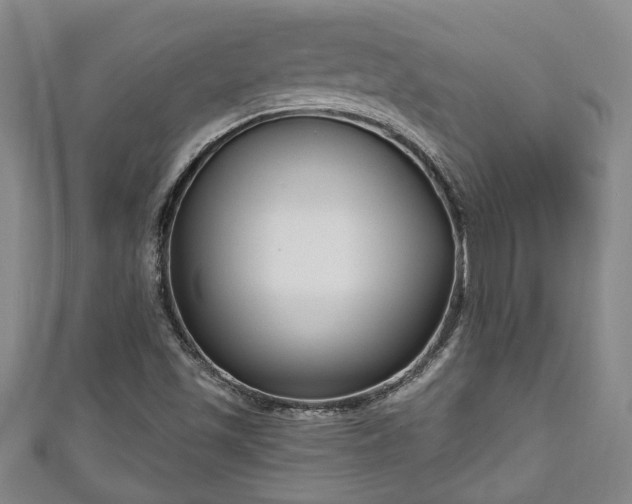 X0000111171501200907081204