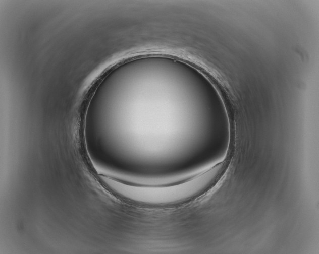 X0000111171502200907081204