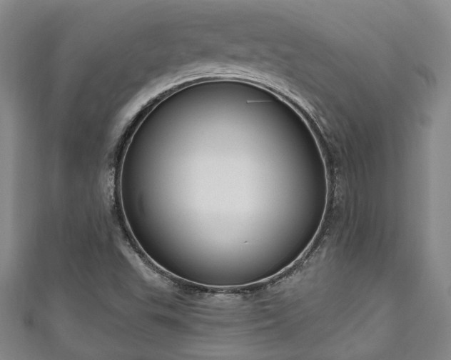 X0000111171503200907081204