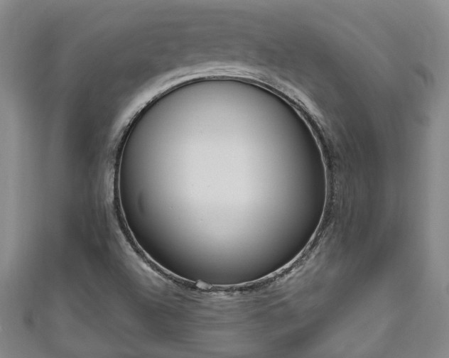 X0000111171504200907081204