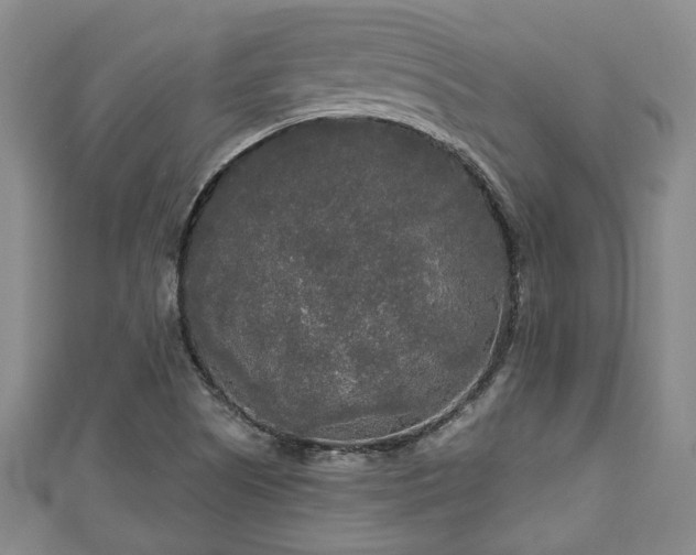 X0000111171505200907081204