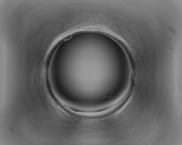 X0000111171506200907081204