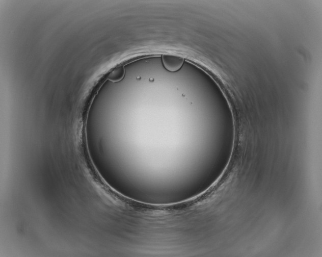 X0000111171507200907081204