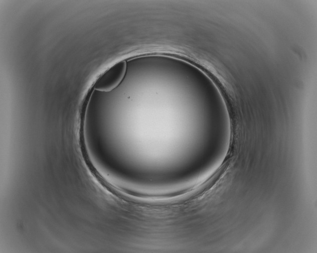 X0000111171508200907081204