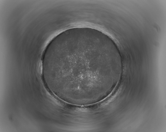 X0000111171509200907081204