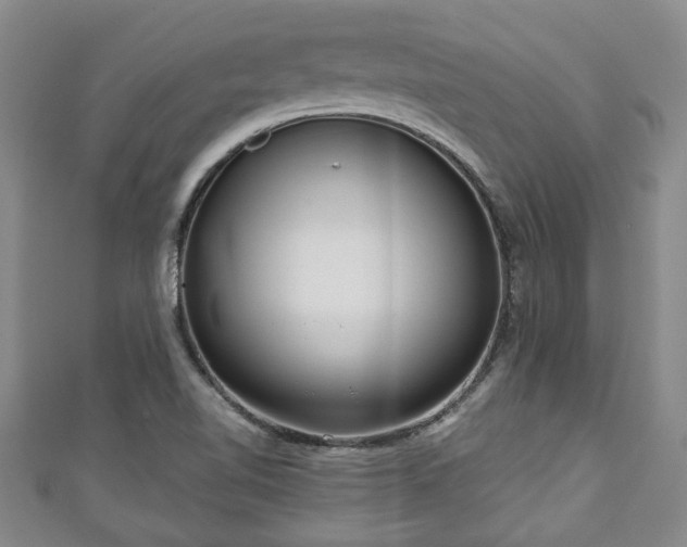 X0000111171510200907081204