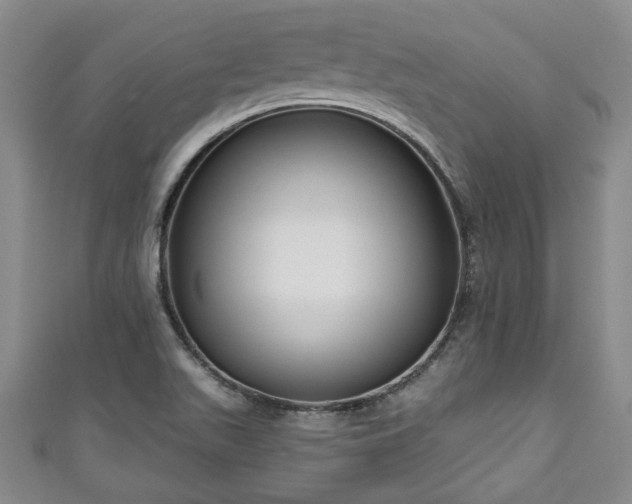 X0000111171511200907081204