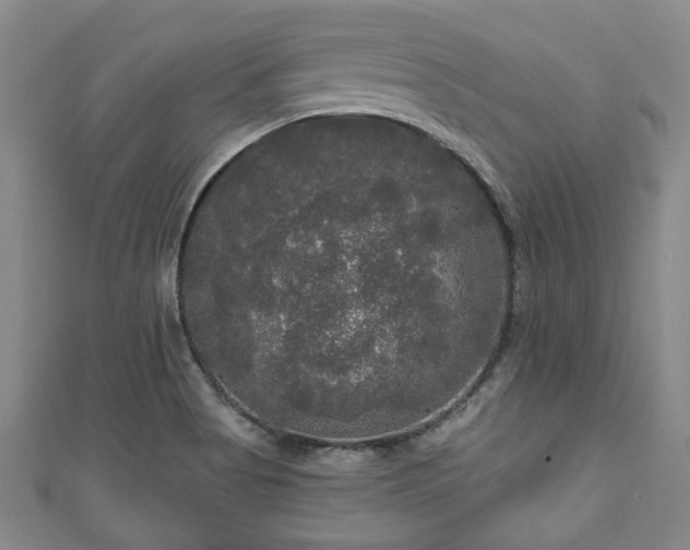 X0000111171513200907081204