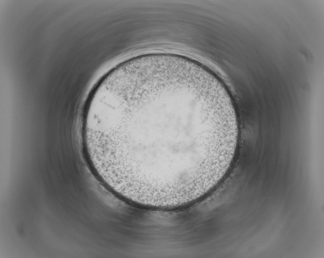 X0000111171514200907081204